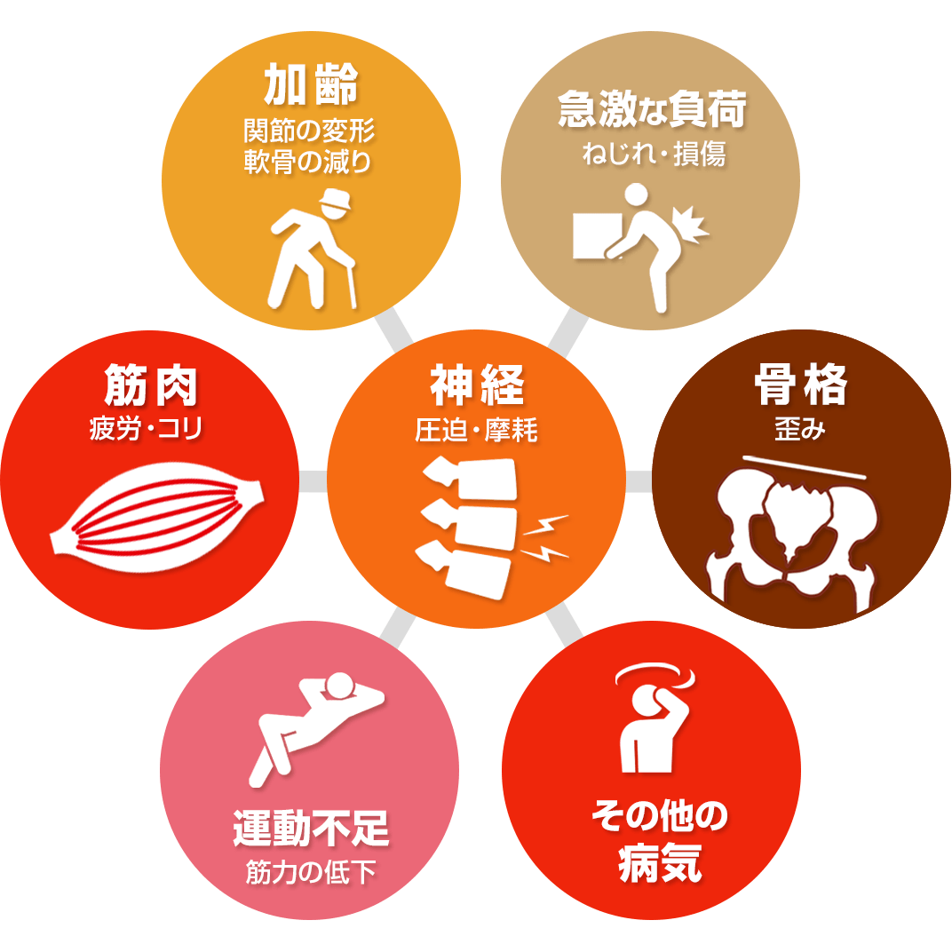 加齢・急激な負荷・歪み・神経の圧迫と摩耗・筋肉の疲労とコリ・運動不足・その他の病気